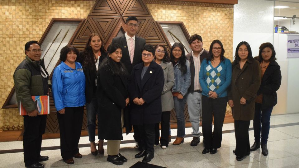 Comisión de DDHH (Diputados) junto a representantes de la mesa técnica de niñez