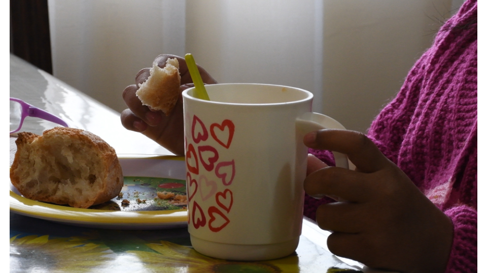 Familia sustituta compartiendo